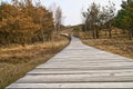 Hiking trail over a wooden walkway to the high dune on the DarÃÅ¸. National park